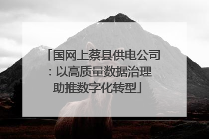 国网上蔡县供电公司：以高质量数据治理 助推数字化转型