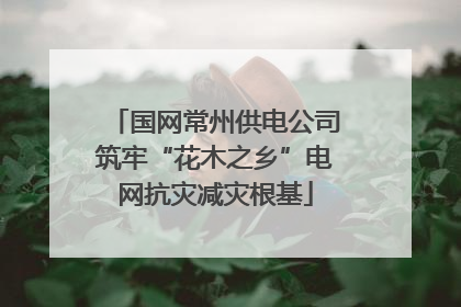 国网常州供电公司筑牢“花木之乡”电网抗灾减灾根基