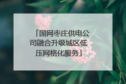 国网枣庄供电公司融合升级城区低压网格化服务