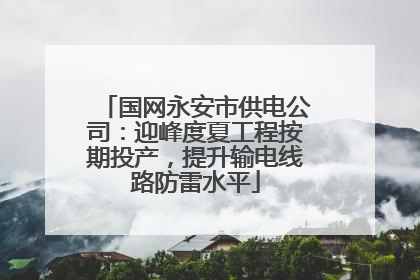 国网永安市供电公司：迎峰度夏工程按期投产，提升输电线路防雷水平
