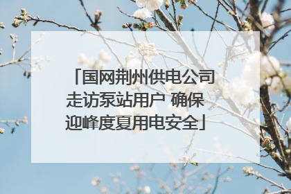 国网荆州供电公司走访泵站用户 确保迎峰度夏用电安全