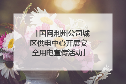 国网荆州公司城区供电中心开展安全用电宣传活动
