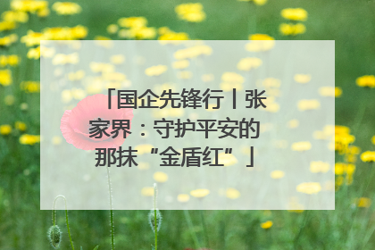 国企先锋行丨张家界：守护平安的那抹“金盾红”
