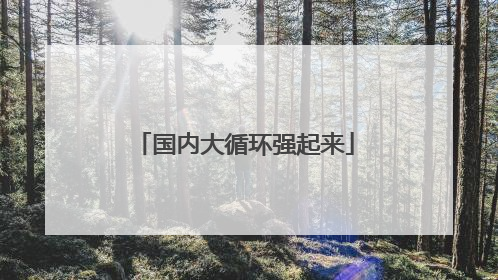 国内大循环强起来