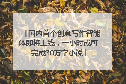 国内首个创意写作智能体即将上线，一小时或可完成30万字小说