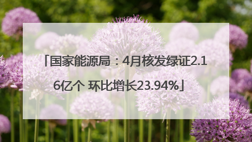 国家能源局：4月核发绿证2.16亿个 环比增长23.94%