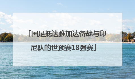 国足抵达雅加达备战与印尼队的世预赛18强赛