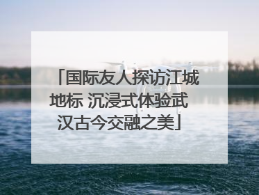 国际友人探访江城地标 沉浸式体验武汉古今交融之美