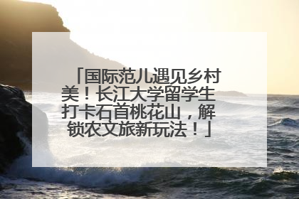 国际范儿遇见乡村美！长江大学留学生打卡石首桃花山，解锁农文旅新玩法！
