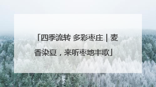 四季流转 多彩枣庄｜麦香染夏，来听枣地丰歌