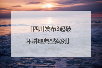四川发布3起破坏耕地典型案例