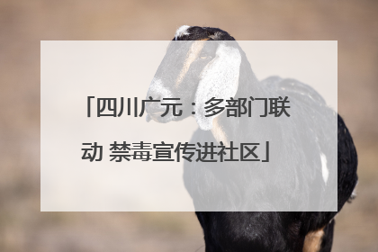 四川广元：多部门联动 禁毒宣传进社区