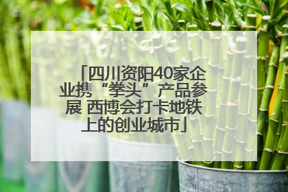 四川资阳40家企业携“拳头”产品参展 西博会打卡地铁上的创业城市