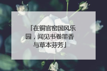 在铜官窑国风乐园，闻见书卷墨香与草本芬芳