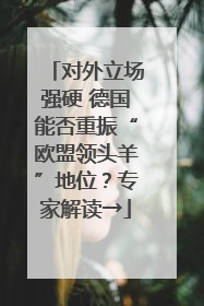对外立场强硬 德国能否重振“欧盟领头羊”地位？专家解读→