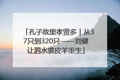 孔子故里孝贤多｜从37只到320只——刘健让泗水裘皮羊重生