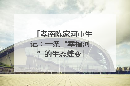孝南陈家河重生记：一条“幸福河”的生态蝶变