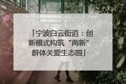 宁波白云街道：创新模式构筑“两新”群体关爱生态圈