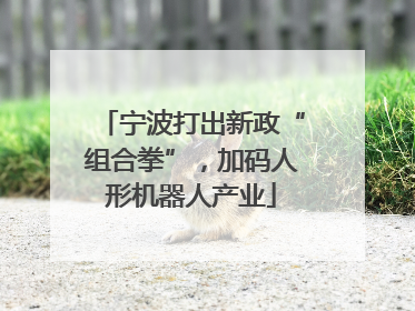 宁波打出新政“组合拳”，加码人形机器人产业