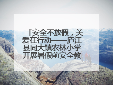 安全不放假，关爱在行动——庐江县同大镇农林小学开展暑假前安全教育大家访