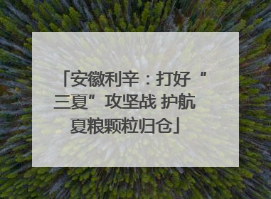 安徽利辛：打好“三夏”攻坚战 护航夏粮颗粒归仓