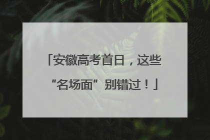 安徽高考首日，这些“名场面”别错过！