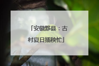 安徽黟县：古村夏日插秧忙