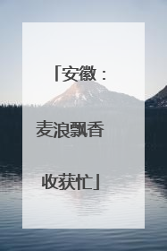 安徽：麦浪飘香收获忙