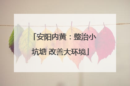 安阳内黄：整治小坑塘 改善大环境