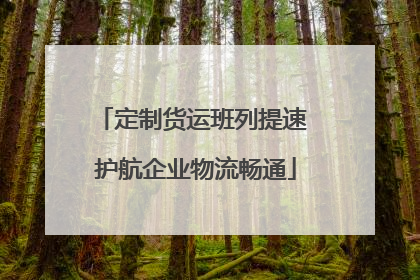 定制货运班列提速 护航企业物流畅通