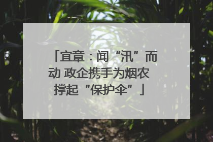 宜章：闻“汛”而动 政企携手为烟农撑起“保护伞”