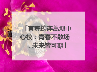 宜宾筠连蒿坝中心校：青春不散场，未来皆可期