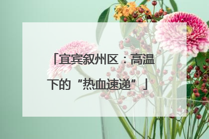 宜宾叙州区：高温下的“热血速递”
