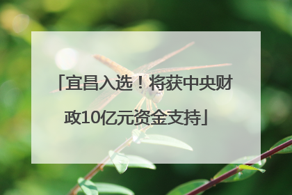 宜昌入选！将获中央财政10亿元资金支持