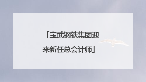 宝武钢铁集团迎来新任总会计师