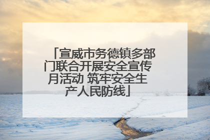 宣威市务德镇多部门联合开展安全宣传月活动 筑牢安全生产人民防线