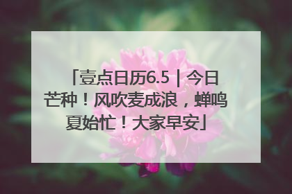壹点日历6.5｜今日芒种！风吹麦成浪，蝉鸣夏始忙！大家早安