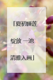夏初睡莲绽放 一池清雅入画