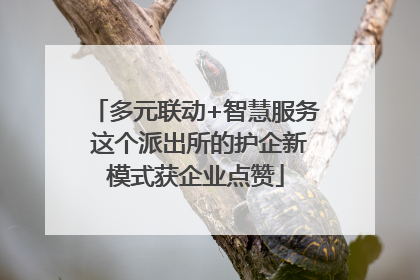 多元联动+智慧服务 这个派出所的护企新模式获企业点赞