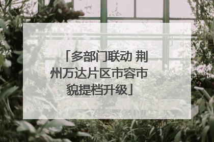 多部门联动 荆州万达片区市容市貌提档升级