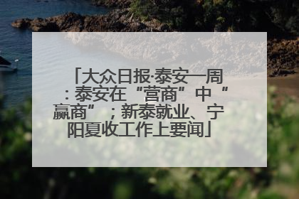 大众日报·泰安一周：泰安在“营商”中“赢商”；新泰就业、宁阳夏收工作上要闻