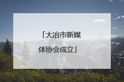 大冶市新媒体协会成立