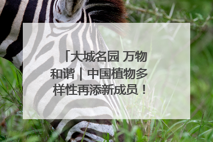 大城名园 万物和谐｜中国植物多样性再添新成员！它只在西藏墨脱