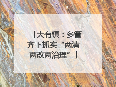 大有镇：多管齐下抓实“两清两改两治理”