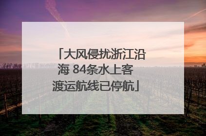 大风侵扰浙江沿海 84条水上客渡运航线已停航