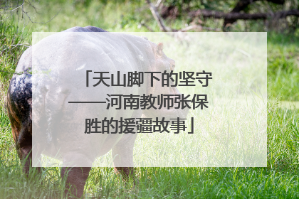天山脚下的坚守——河南教师张保胜的援疆故事