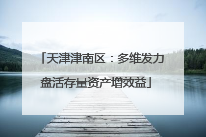 天津津南区：多维发力盘活存量资产增效益