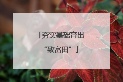 夯实基础育出“致富田”