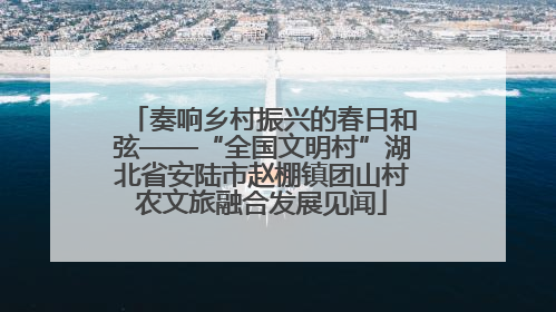 奏响乡村振兴的春日和弦——“全国文明村”湖北省安陆市赵棚镇团山村农文旅融合发展见闻