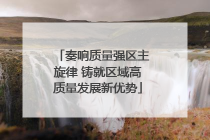 奏响质量强区主旋律 铸就区域高质量发展新优势
